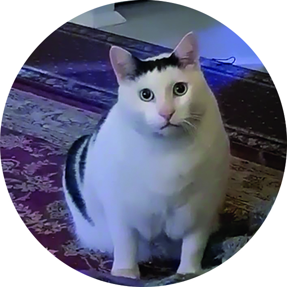 Переверни КЭПС